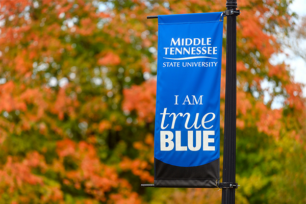 True Blue flag